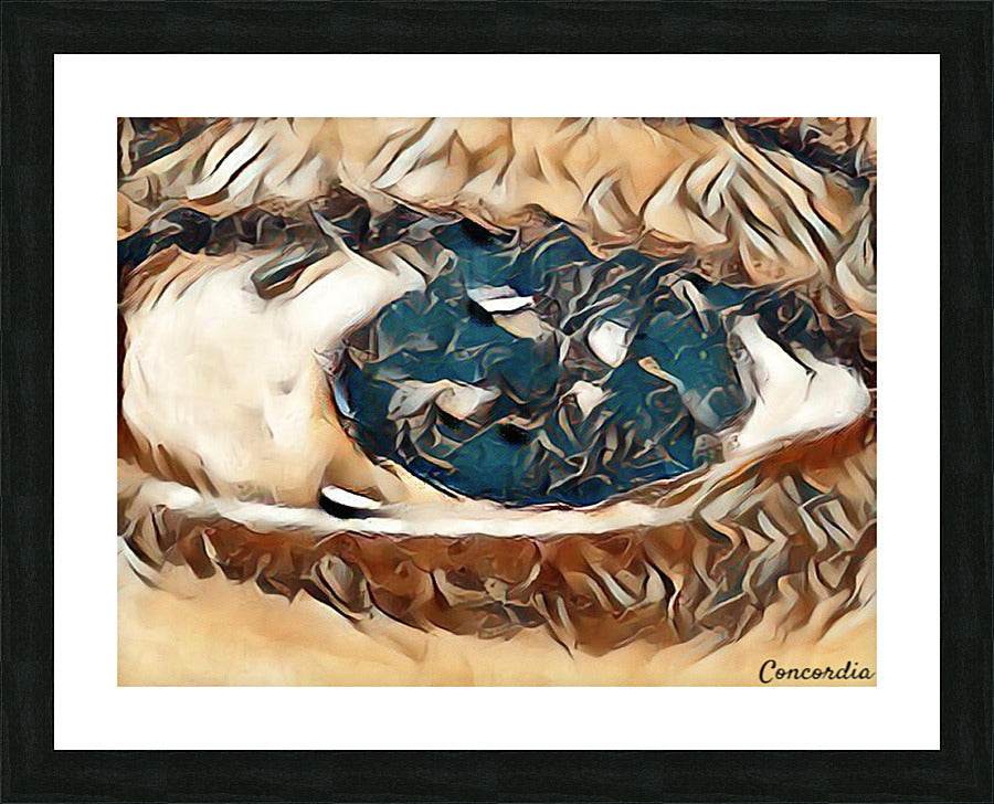 The Eye 5 - Concordia Style Boutique