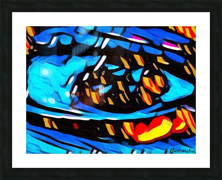 The Eye 6 - Concordia Style Boutique