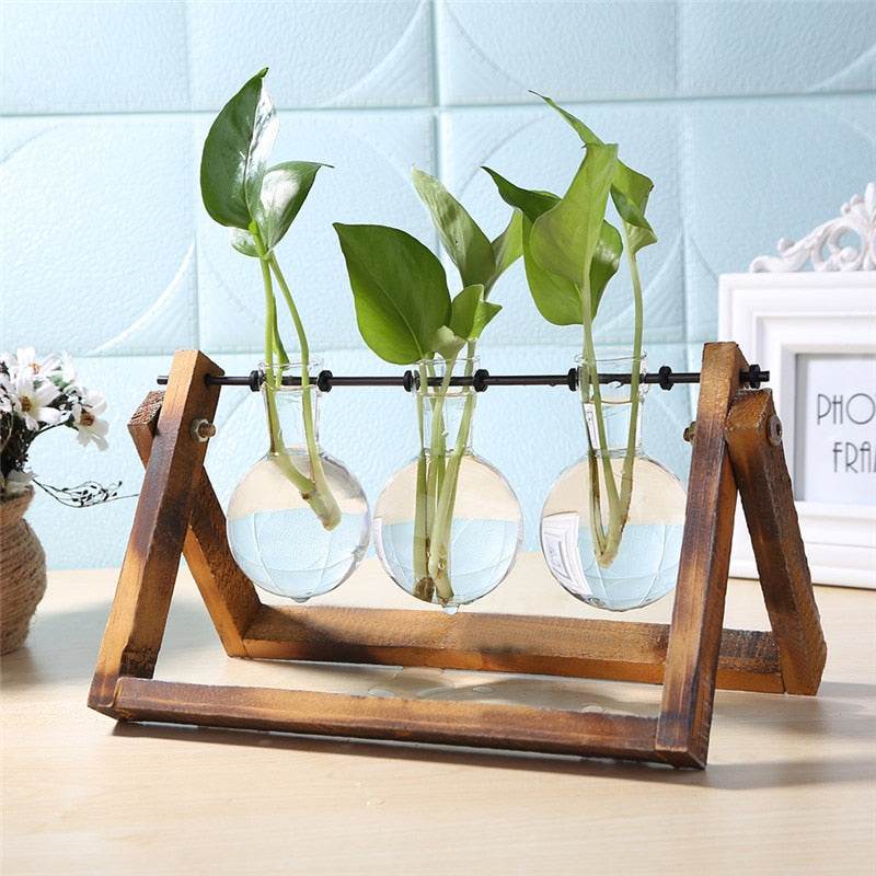 Glass and Wood Vase Planter Table Desktop - Concordia Style Boutique