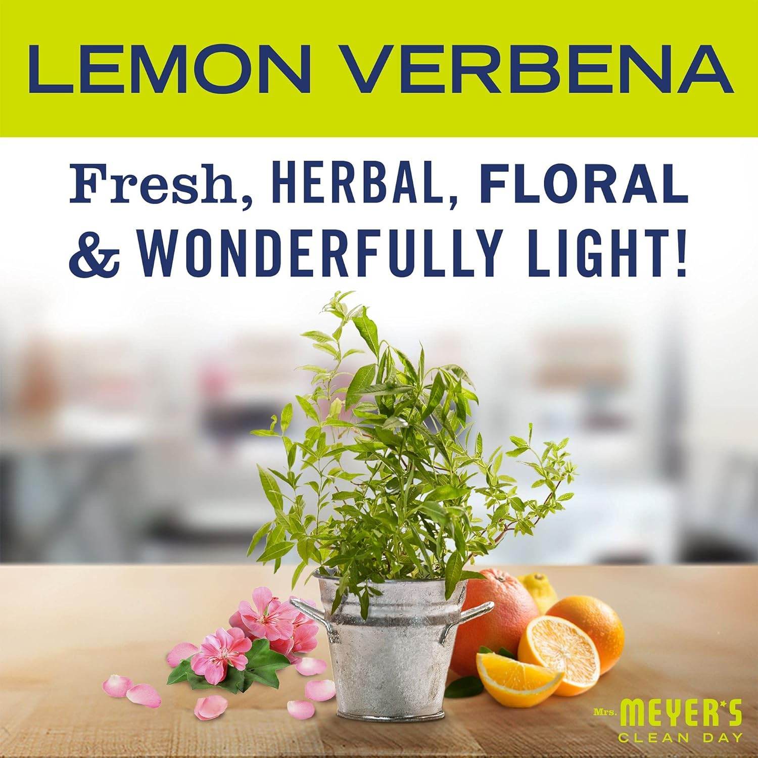Liquid Dish Soap, Biodegradable Formula, Lemon Verbena, 16 fl. oz - Concordia Style Boutique