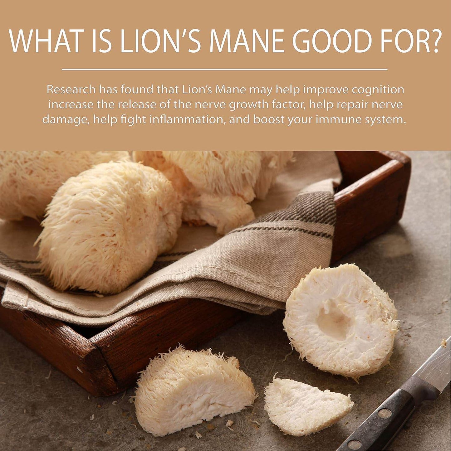 Lion’s Mane Mushroom Capsules 10,000 mg - 10:1 Hericium Powder Extract Supplement- Focus, Clarity and Cognition Supplement - Concordia Style Boutique