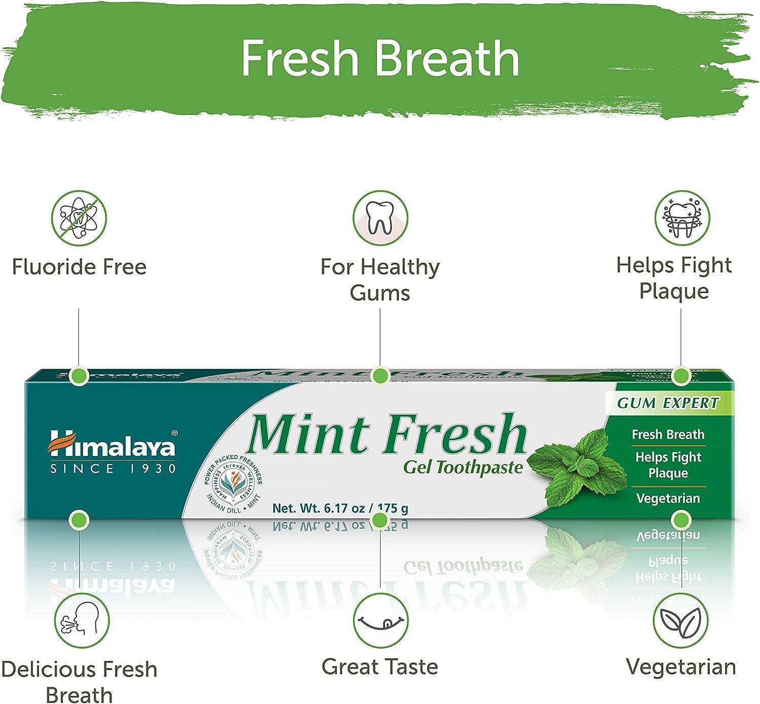 Himalaya Mint Fresh Gel Toothpaste, Fluoride Free to Reduce Plaque & Brighten Teeth, 6.17 oz - Concordia Style Boutique