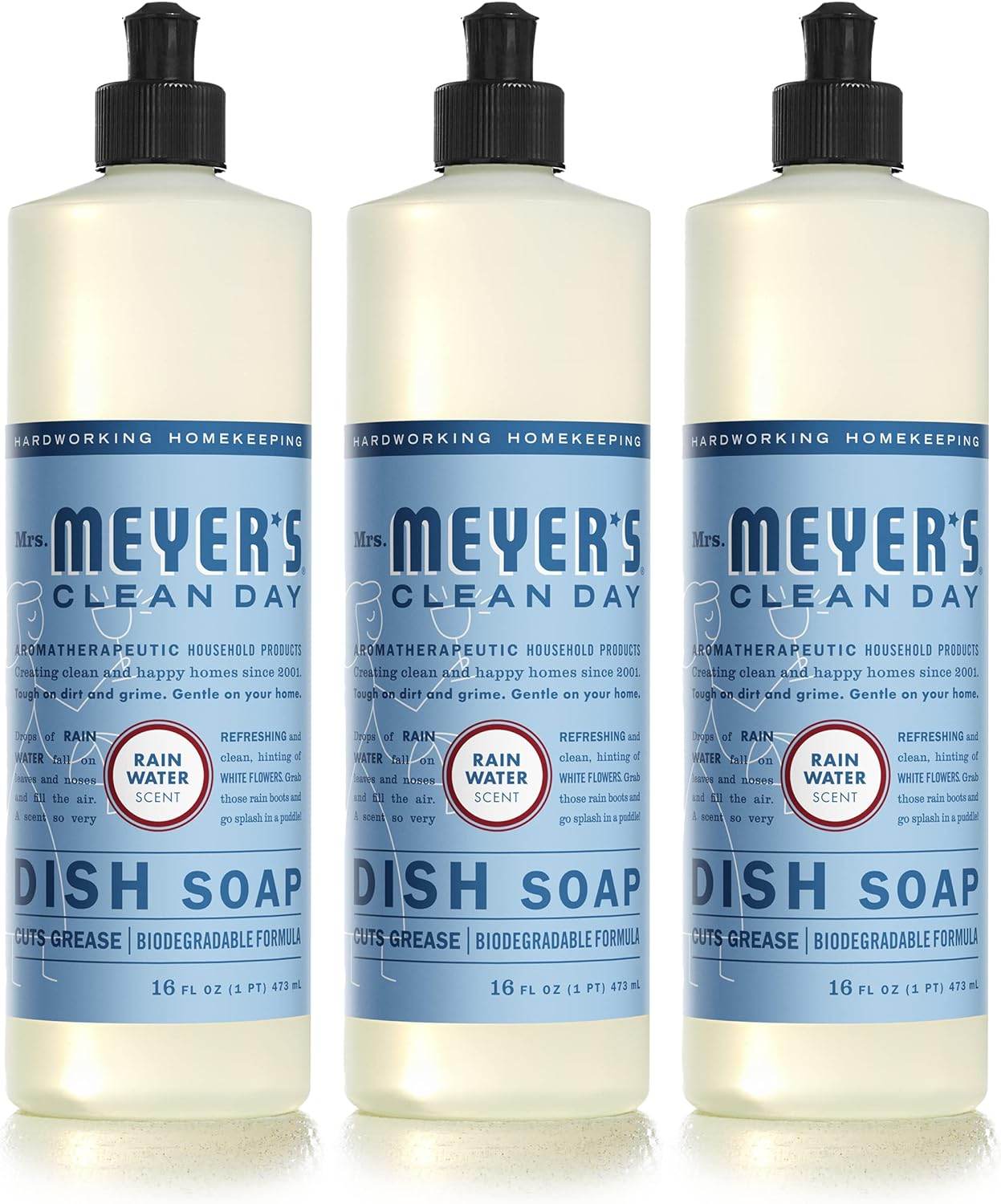 Liquid Dish Soap, Biodegradable Formula, Lemon Verbena, 16 fl. oz - Concordia Style Boutique