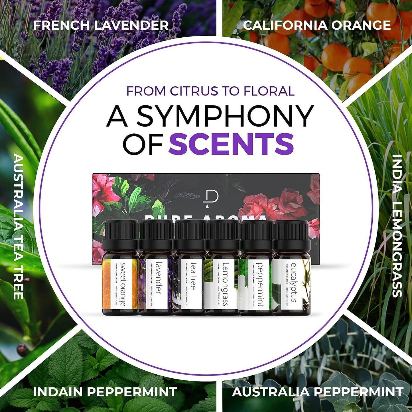 Essential Oils by PURE AROMA 100% Pure Oils kit- Top 6 Aromatherapy Oils Gift Set-6 Pack, 10ML(Eucalyptus, Lavender, Lemon Grass, Orange, Peppermint, Tea Tree) - Concordia Style Boutique