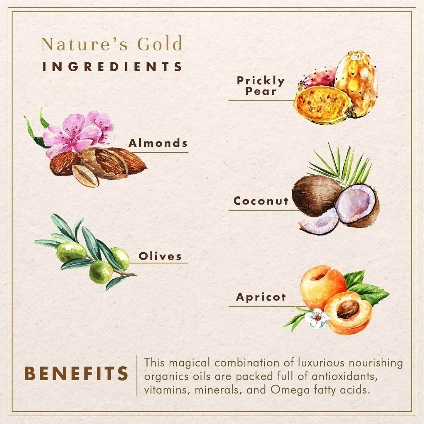 WHOLE NATURALS- Pure Castile Soap Liquid - EWG Verified & Certified Palm Oil Free - Concordia Style Boutique