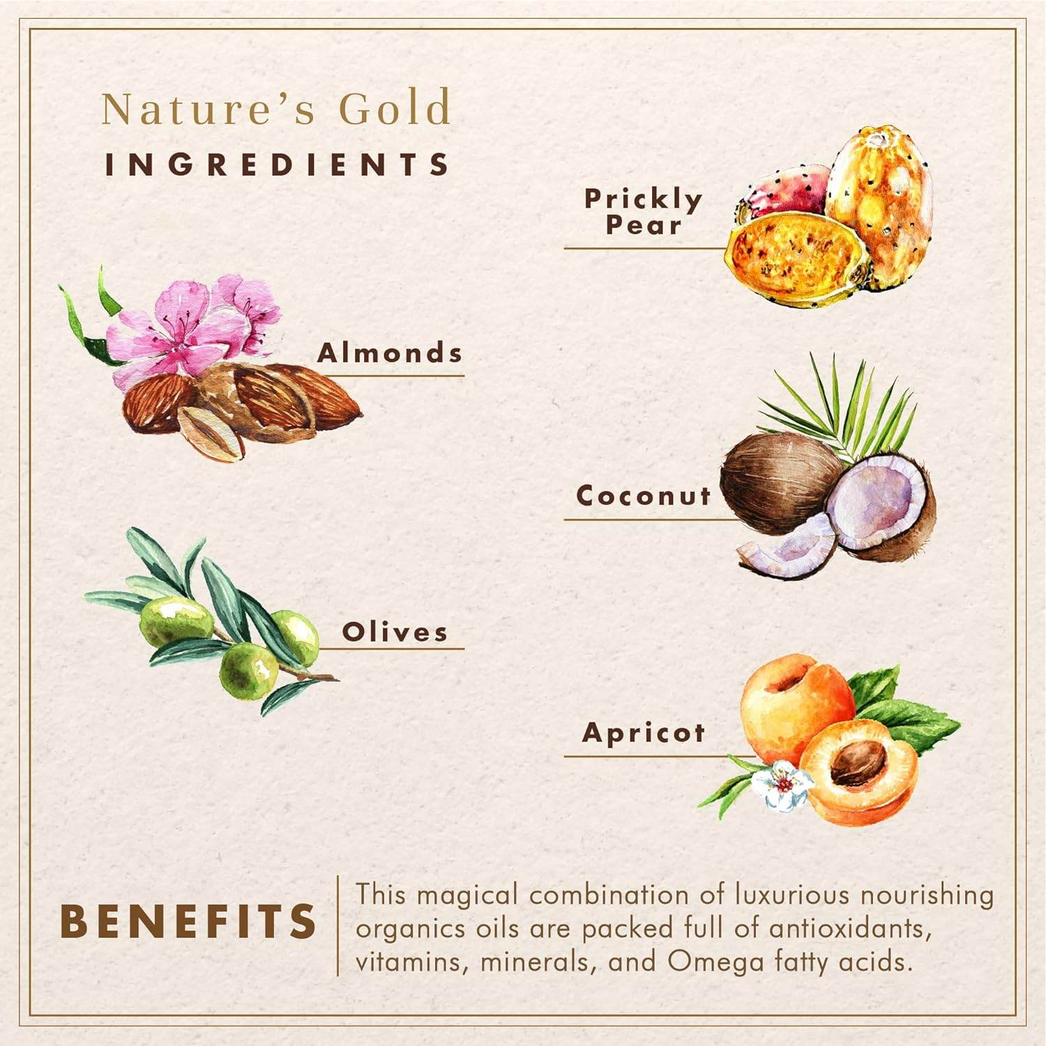 WHOLE NATURALS- Pure Castile Soap Liquid - EWG Verified & Certified Palm Oil Free - Concordia Style Boutique