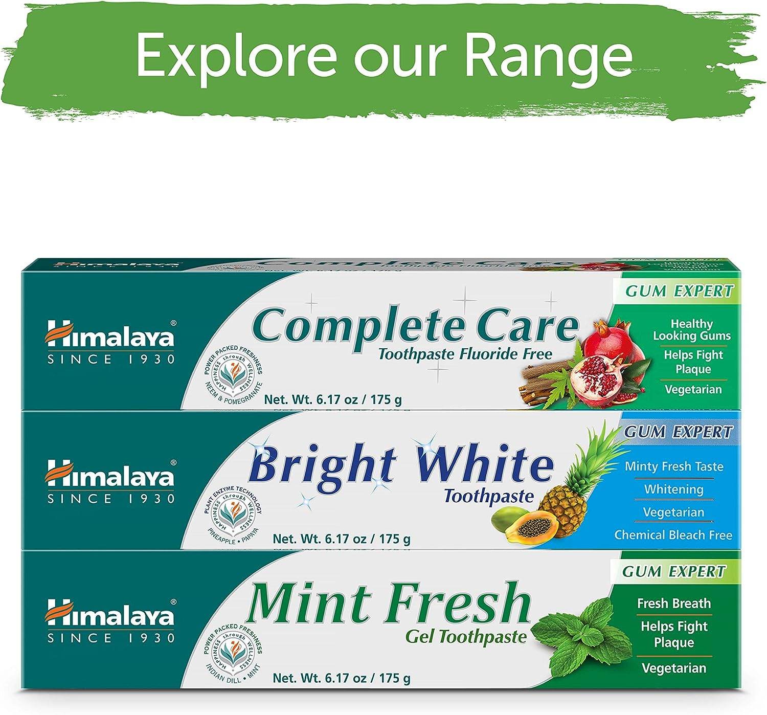 Himalaya Mint Fresh Gel Toothpaste, Fluoride Free to Reduce Plaque & Brighten Teeth, 6.17 oz - Concordia Style Boutique