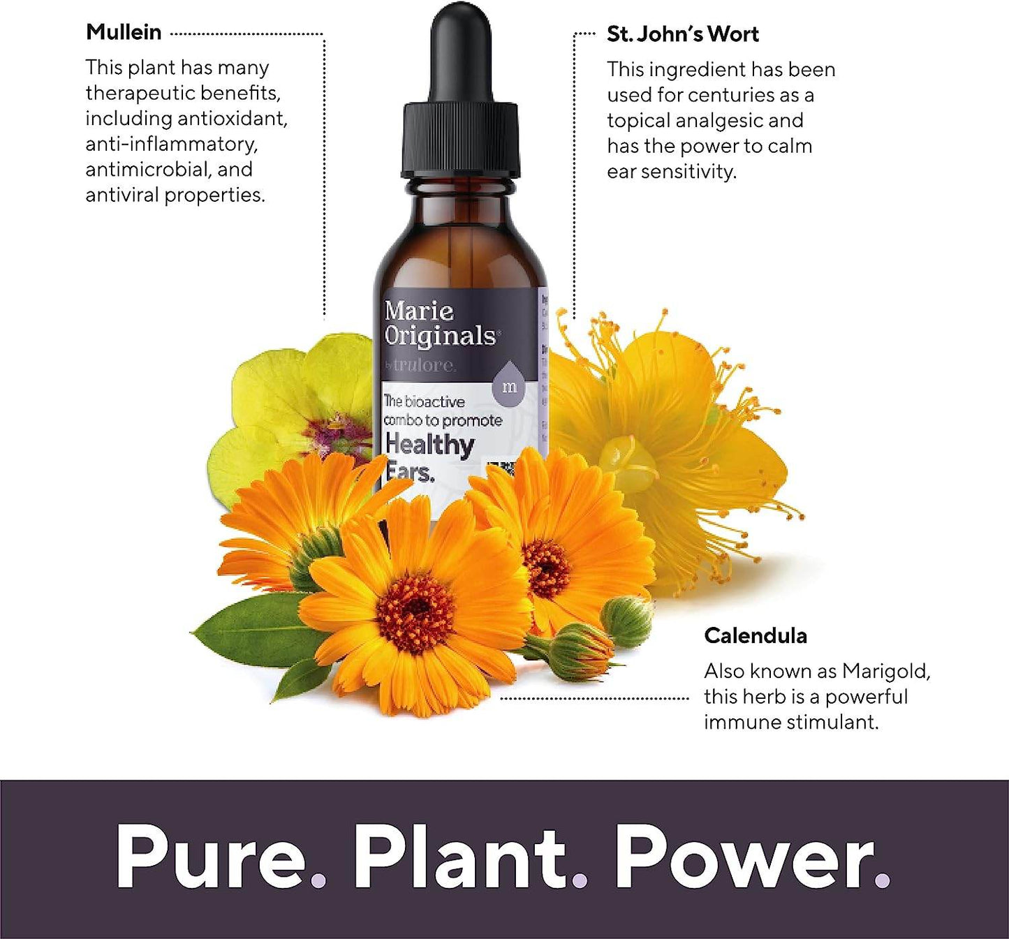 Organic Ear Oil for Earache Irritation, All Natural Eardrops for Infection Prevention, Swimmer's Ear and Wax Removal - Kids, Adults, Baby, Dog Earache Remedy - with Mullein, Garlic | Marie Originals - Concordia Style Boutique