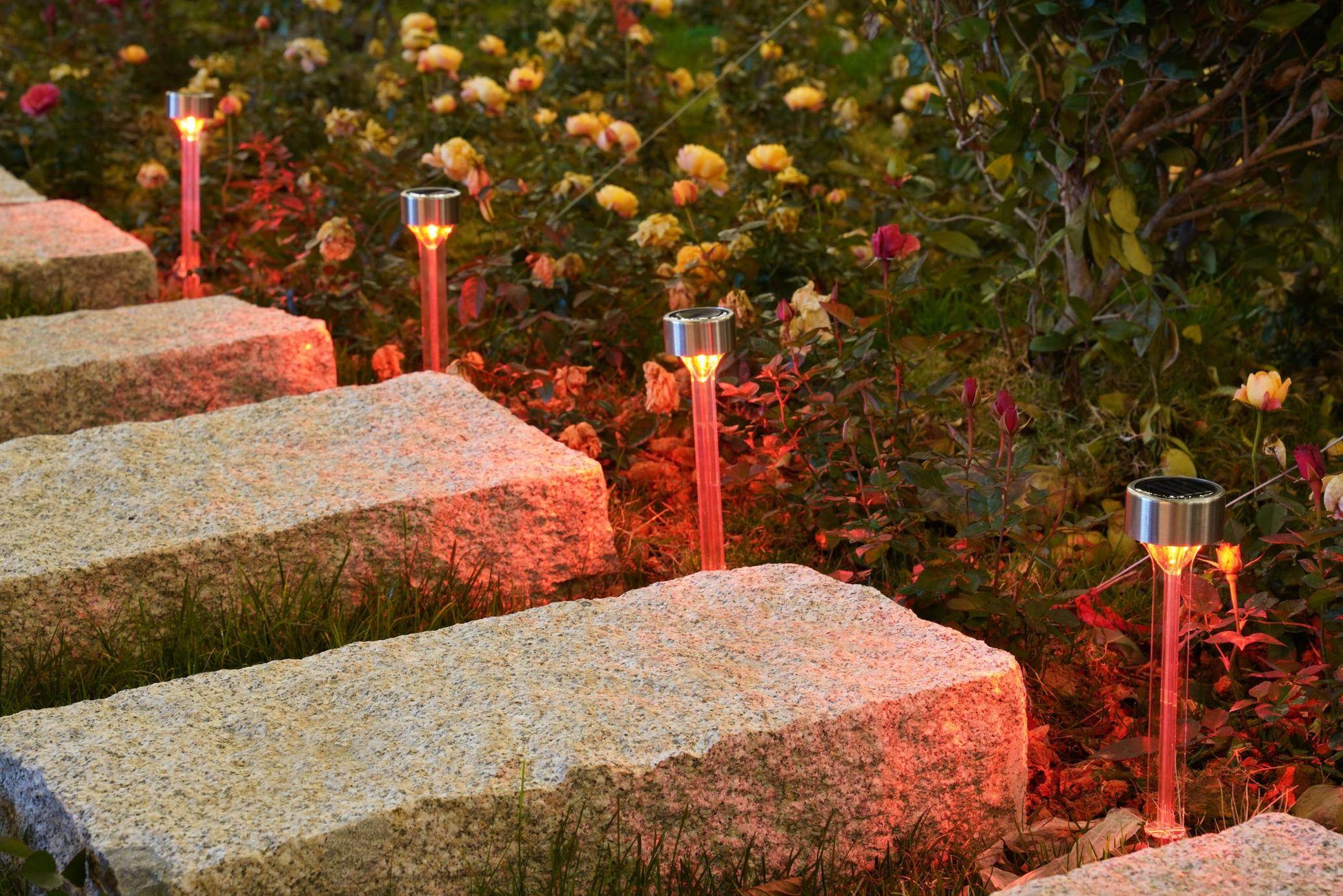 Solar Landscape Lights - Transparent Decorative Waterproof - 10 Pack Solar Powered Pathway Lights - Concordia Style Boutique