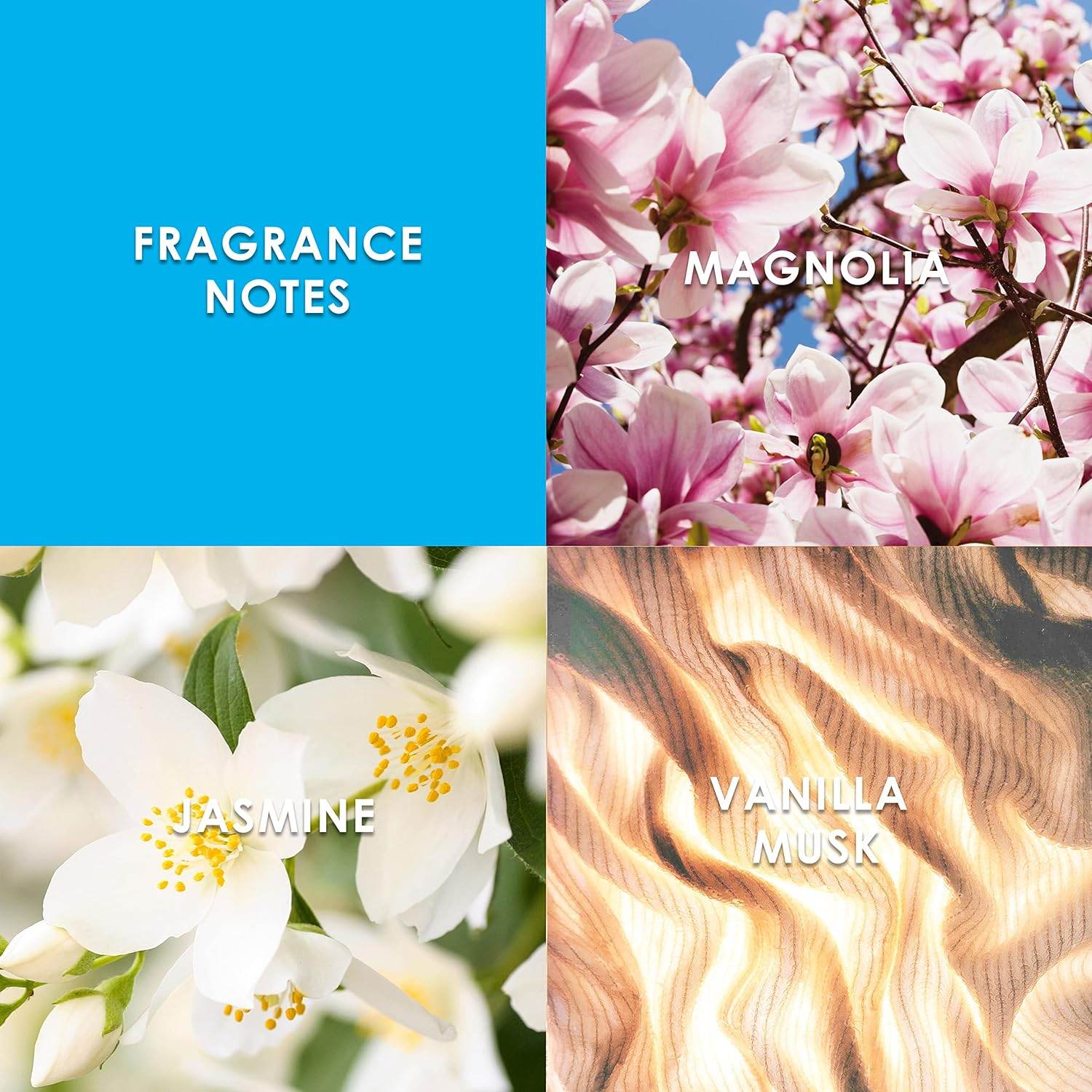 Britney Spears Women's Perfume, Curious, Eau De Parfum EDP Spray for Women, 1 Fl Oz - Concordia Style Boutique