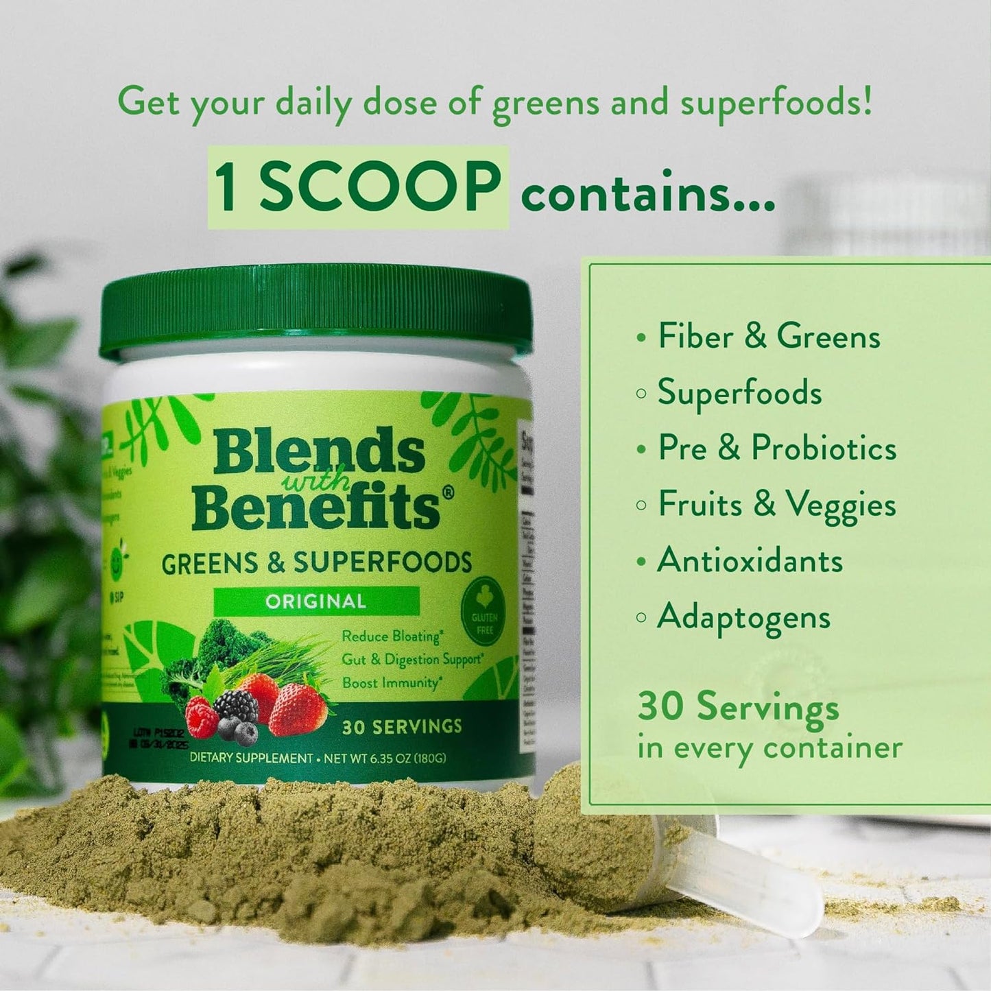 360 Nutrition Blends with Benefits Super Greens Powder w/Probiotics, Digestive Enzymes, Sugar & Gluten Free, Plant Based Superfood Drink Mix for Gut Health, Bloating, Immunity, Overall Health, 6.35 oz - Concordia Style Boutique