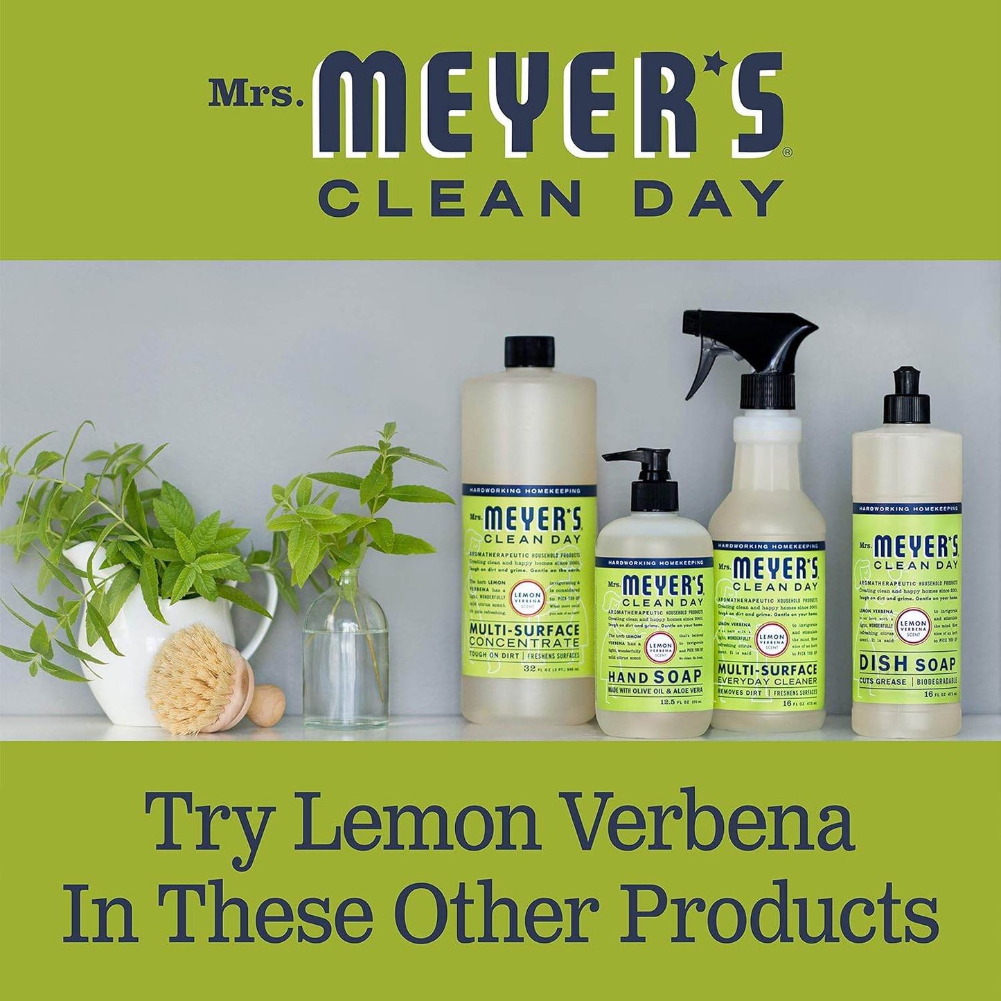 Liquid Dish Soap, Biodegradable Formula, Lemon Verbena, 16 fl. oz - Concordia Style Boutique