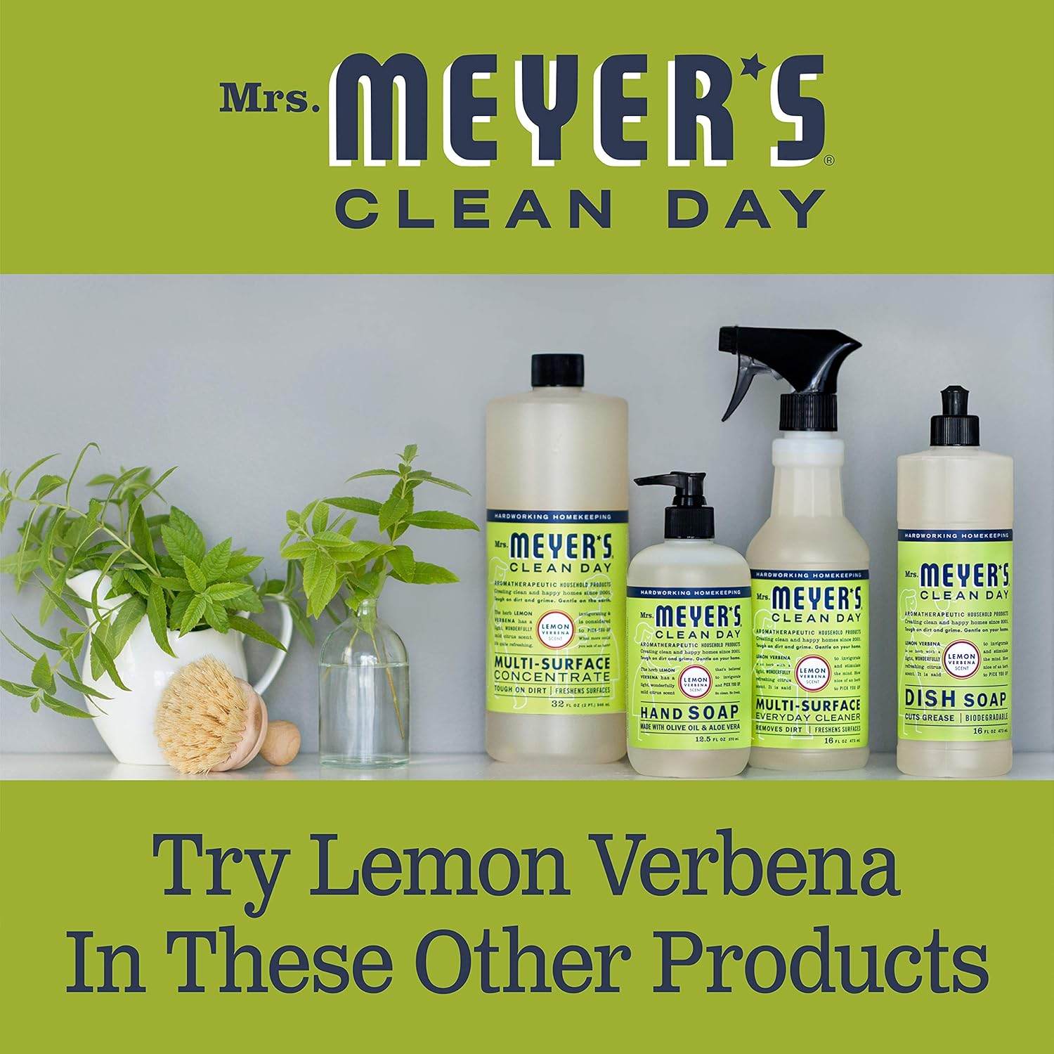Liquid Dish Soap, Biodegradable Formula, Lemon Verbena, 16 fl. oz - Concordia Style Boutique