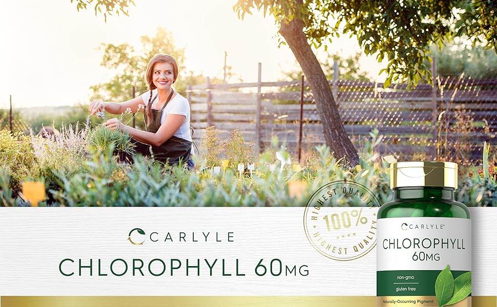 Chlorophyll Pills | 90 Capsules | Naturally Occurring Pigment | Chlorophyll Concentrate Supplement | Non-GMO, Gluten Free Complex - Concordia Style Boutique
