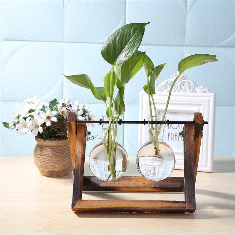 Glass and Wood Vase Planter Table Desktop - Concordia Style Boutique