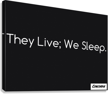 They Live; We Sleep - Art By Concordia - Concordia Style Boutique