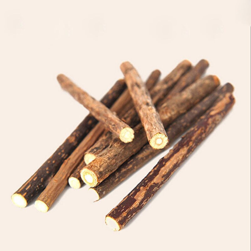 Natural Catnip Tooth Cleaning Sticks for Cats - Concordia Style Boutique