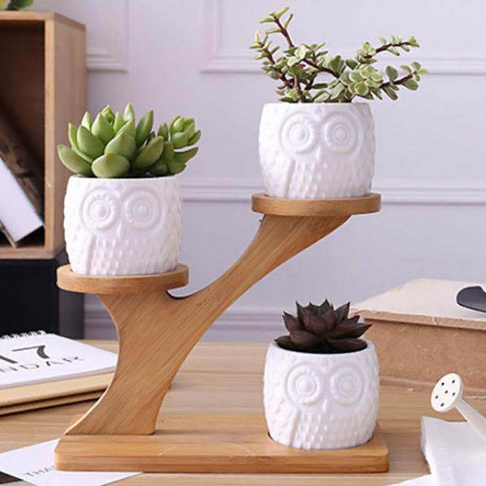Succulent Pots & Bamboo Shelf - Concordia Style Boutique