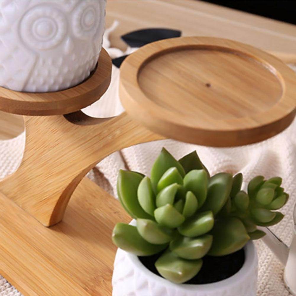Succulent Pots & Bamboo Shelf - Concordia Style Boutique