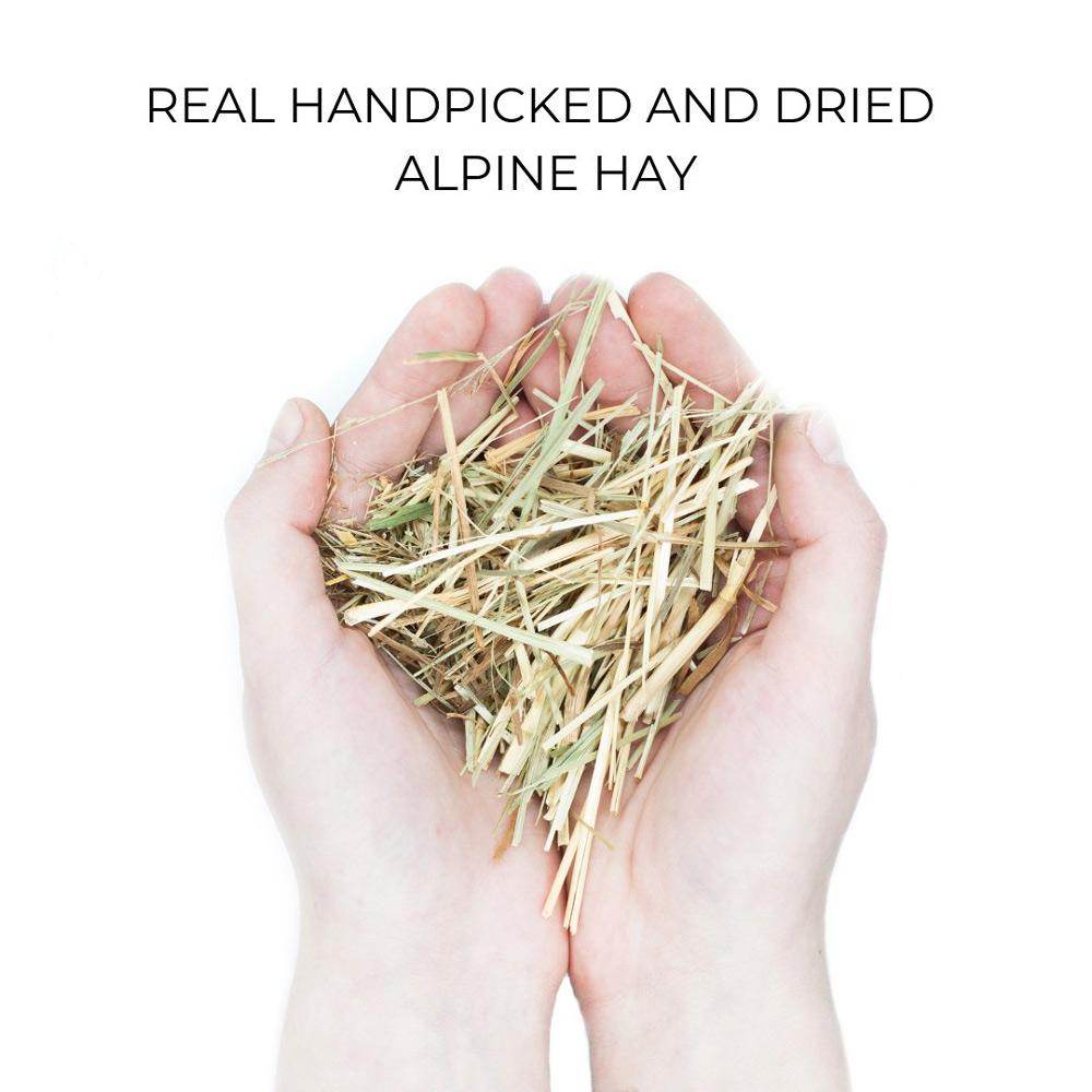 Organic Case - Alpine Hay - Concordia Style Boutique