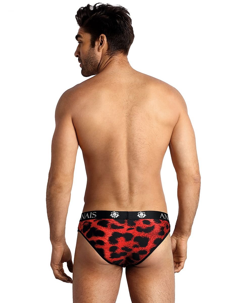 Men's briefs Anais - Concordia Style Boutique