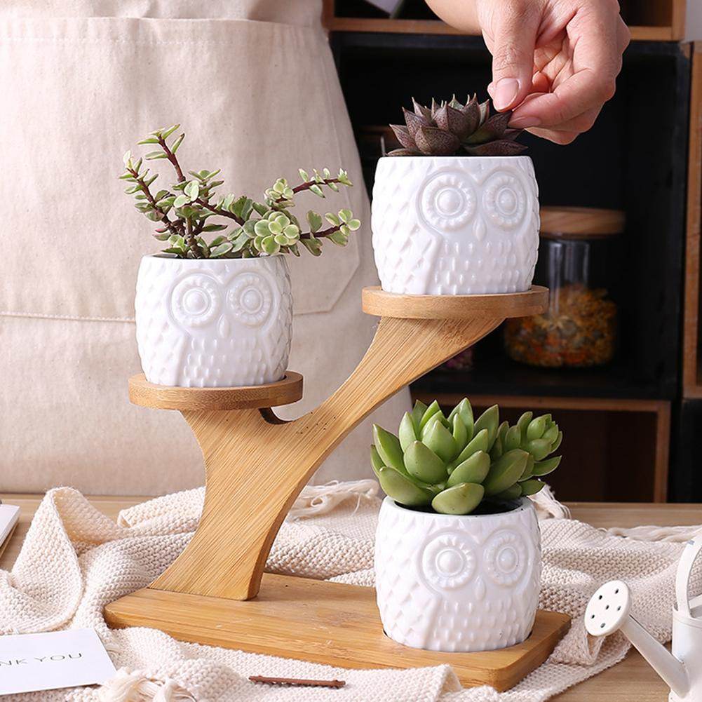 Succulent Pots & Bamboo Shelf - Concordia Style Boutique