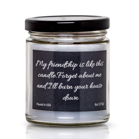 My friendship is like this candle.  Forget about me and I'll burn your house down- 6 oz- 40 hour burn time - Apple Maple Bourbon Scent