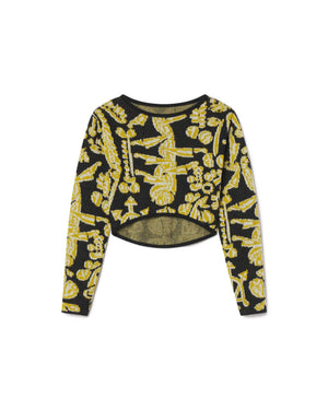 Descriptive image text