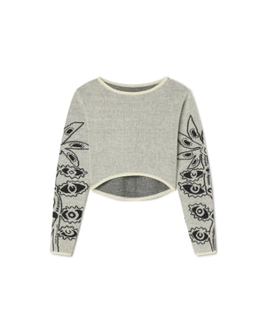 Descriptive image text