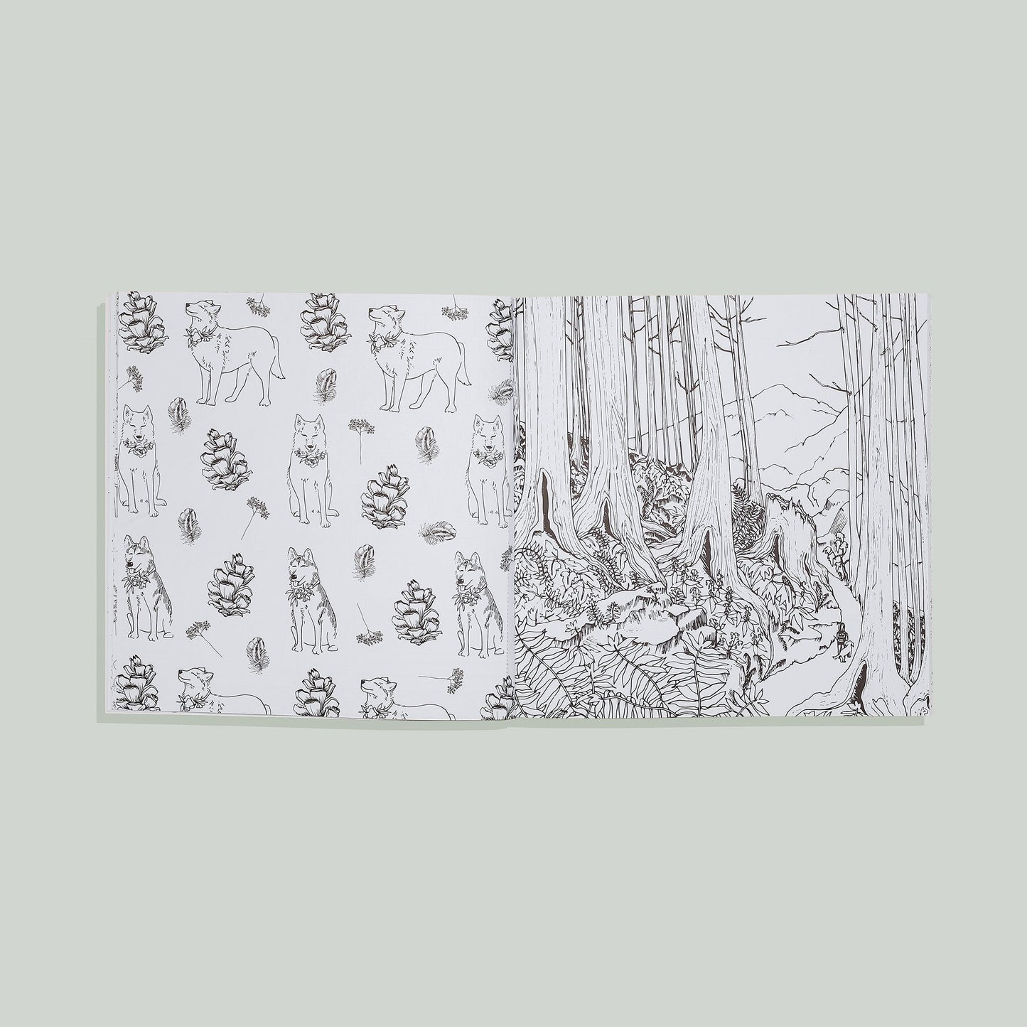 Plant Lady: A Coloring Book