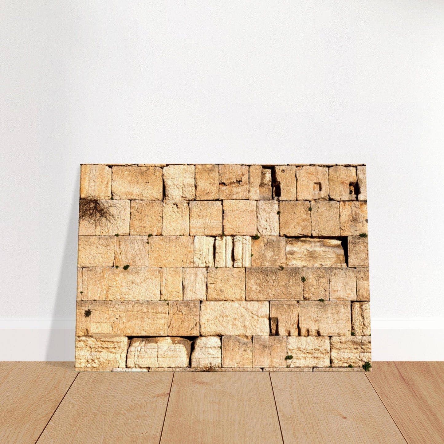 The Western Wall Brick Canvas Print