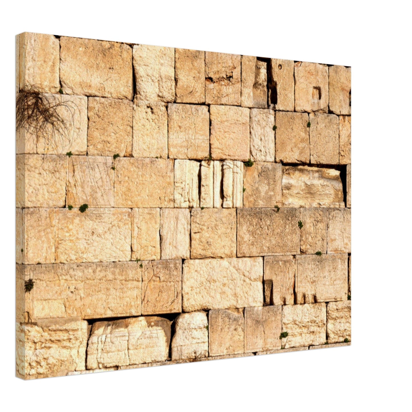 The Western Wall Brick Canvas Print