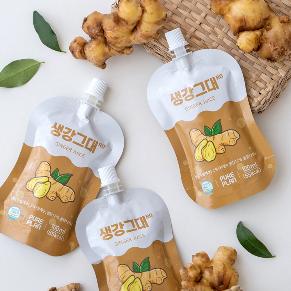 Pure Plan Ginger Gdaero 3.3oz(100ml) Pouch - Concordia Style Boutique