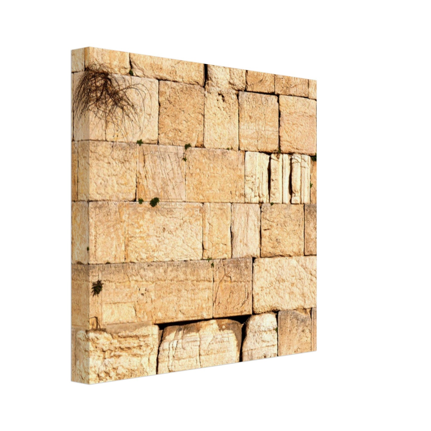 The Western Wall Brick Canvas Print