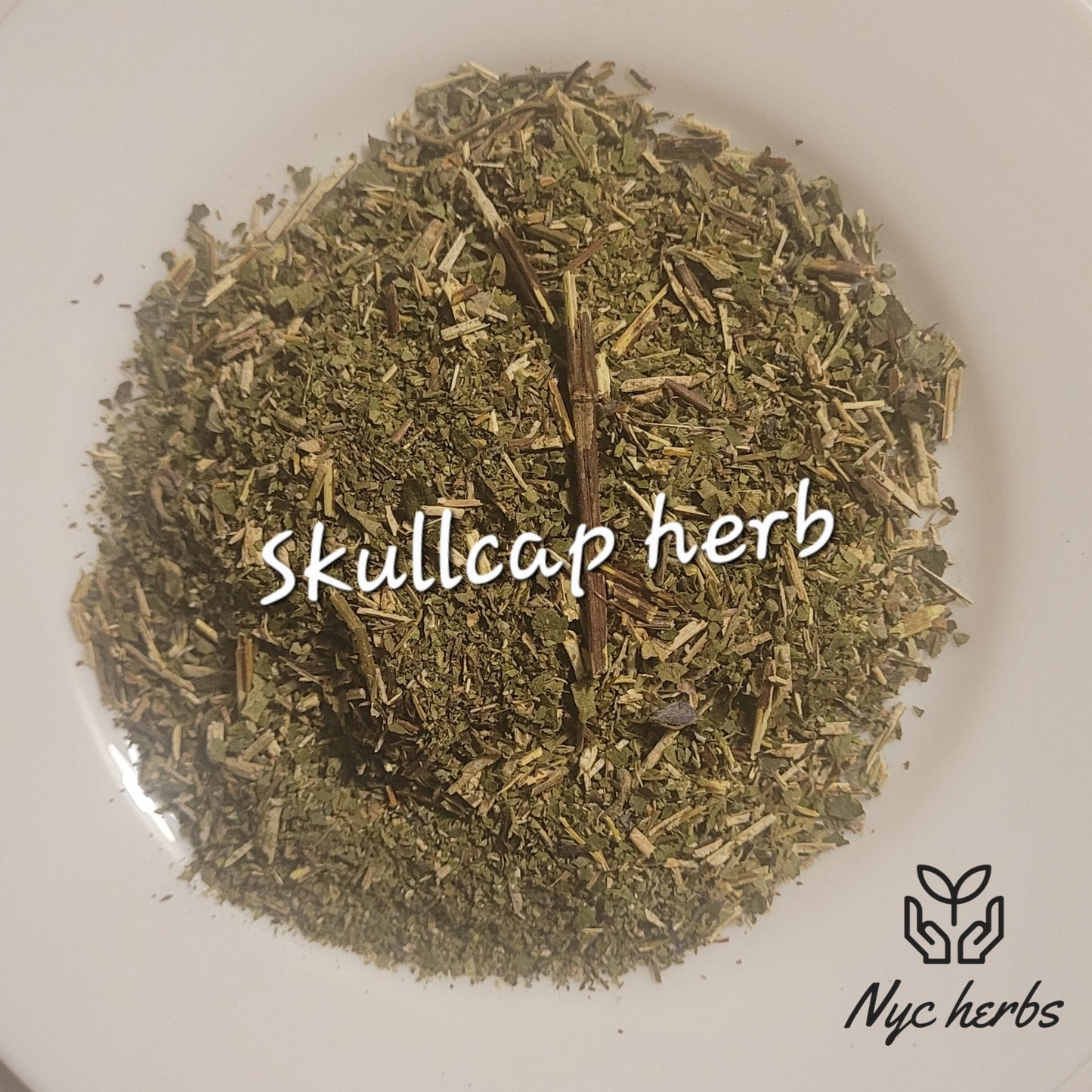 Skullcap | Stress Relief, Sleep & Nervous System Support