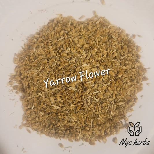 Yarrow Flower | Resilience, Circulatory Balance & Healing