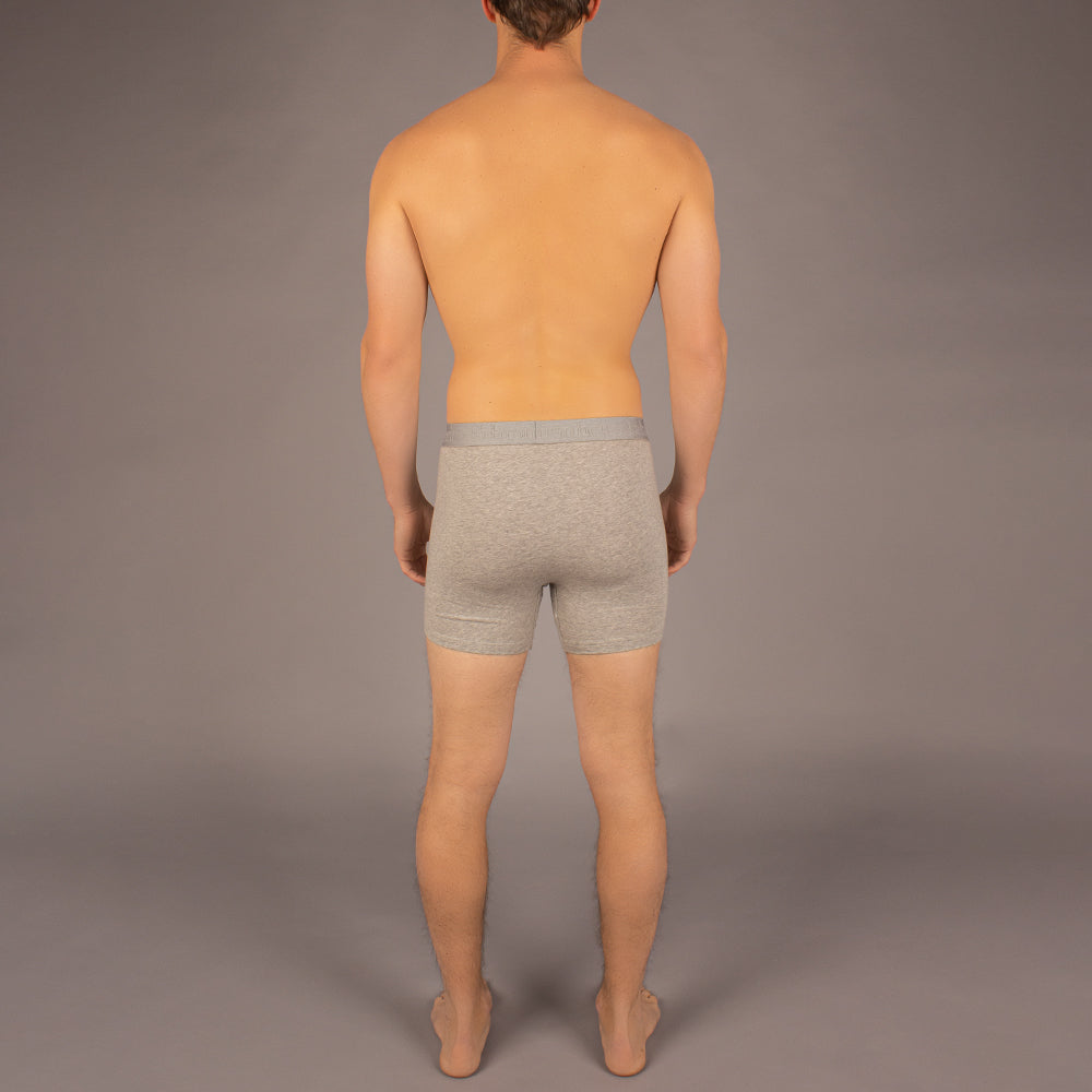 Newman Boxer Brief | Solid Heather Grey - Concordia Style Boutique
