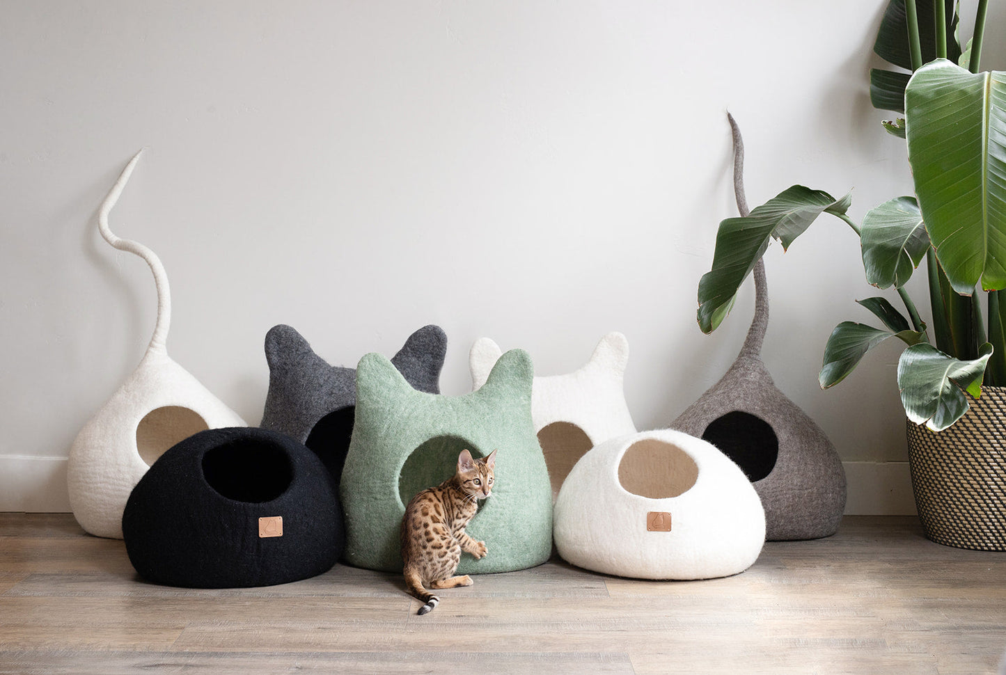 Citrus Green | Round Style Cave - Concordia Style Boutique