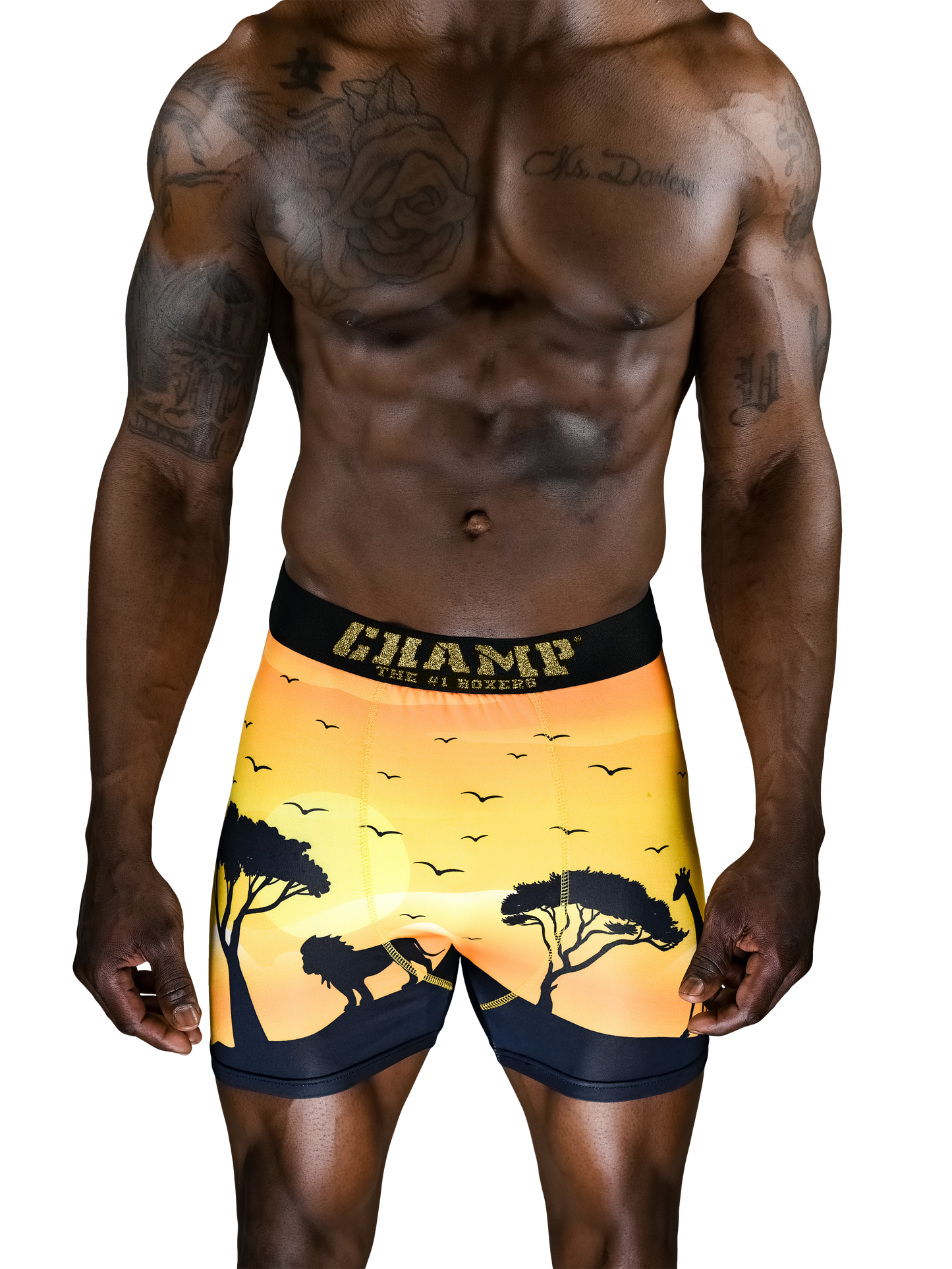 KingLion Edition (No Fly) - Concordia Style Boutique