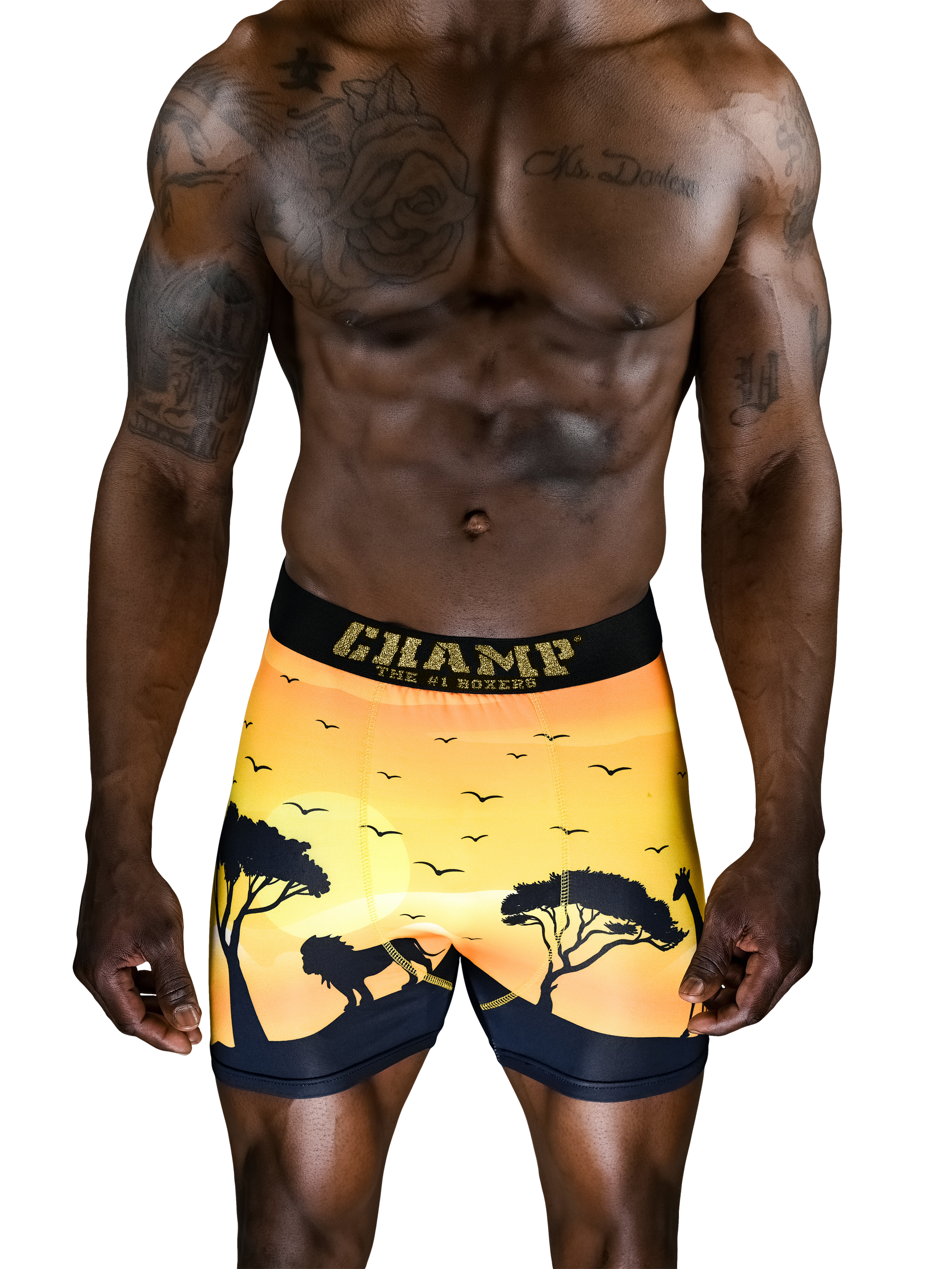 KingLion Edition (No Fly) - Concordia Style Boutique