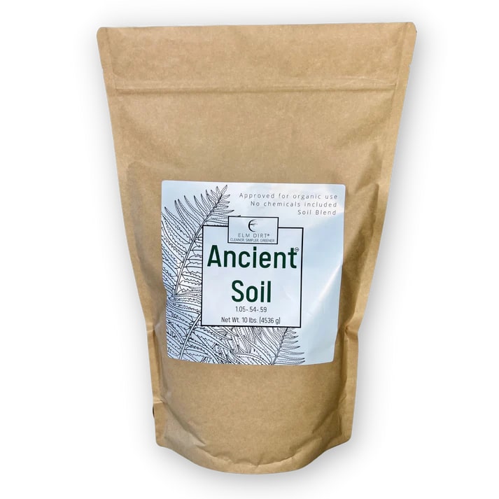 Ancient Soil: Organic Living Soil for Thriving Plants - Concordia Style Boutique