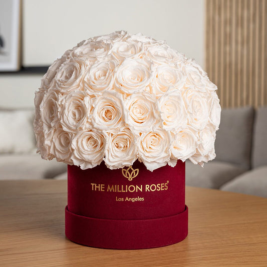 Classic Bordeaux Suede Superdome Box | White Roses