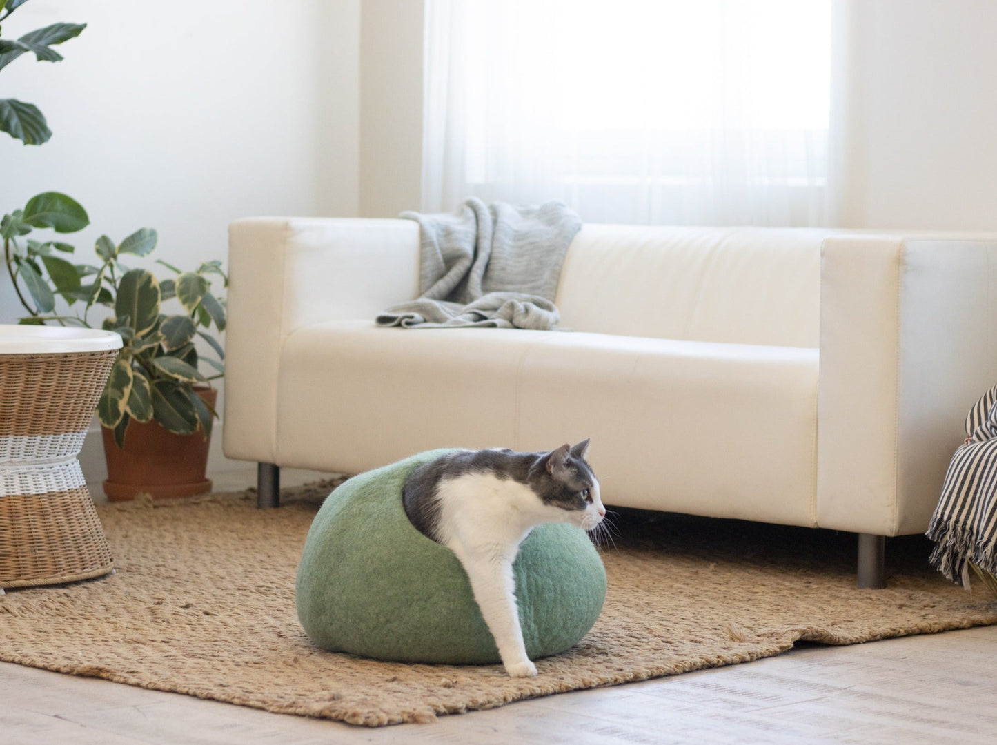 Eucalyptus Green | Round Style Cave - Concordia Style Boutique