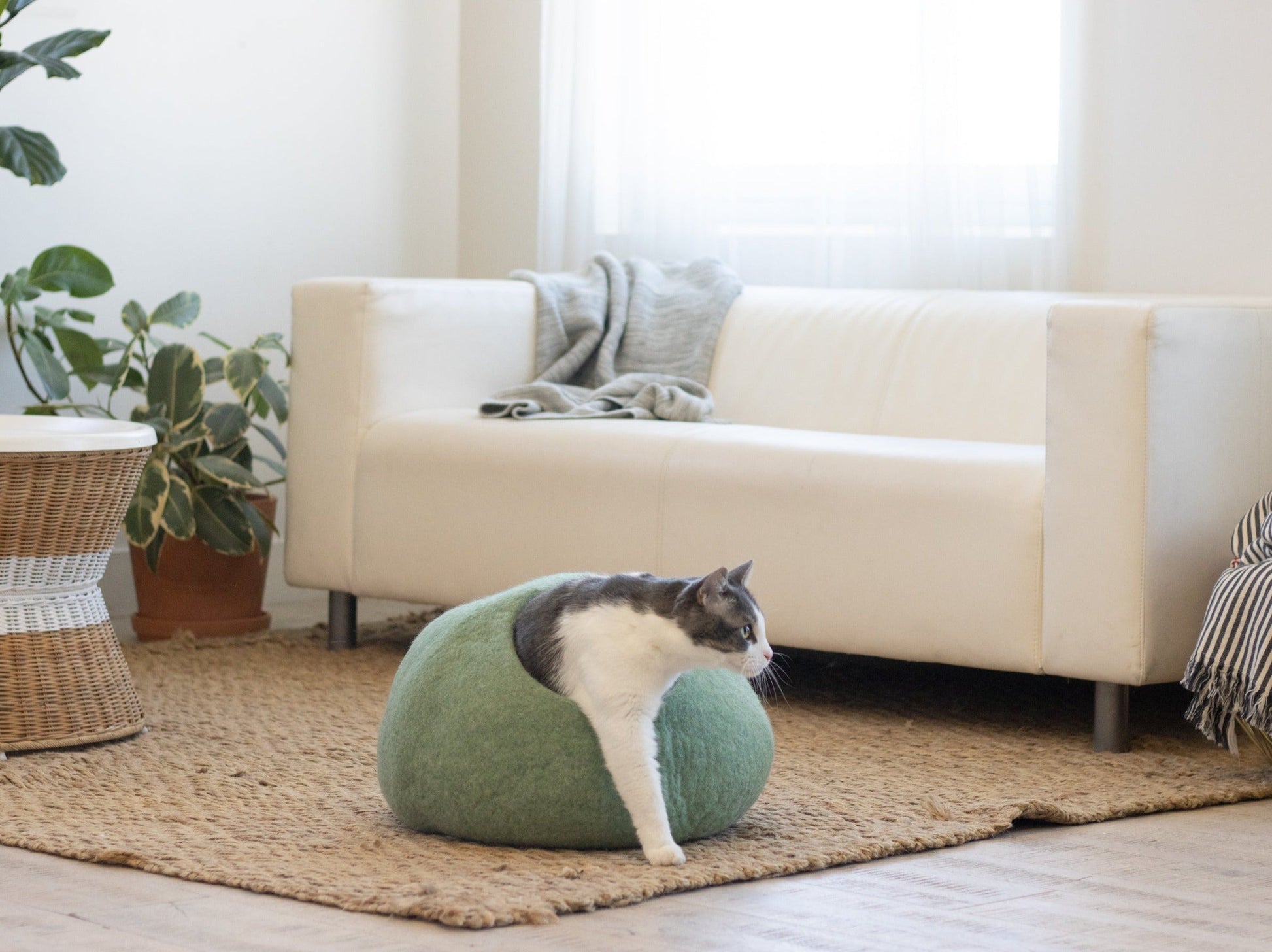 Eucalyptus Green | Round Style Cave - Concordia Style Boutique