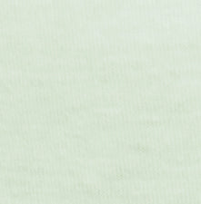 Nylon Brief Panty (Style 331/Plain Jane) 4 Pack in Seafoam Green - Concordia Style Boutique