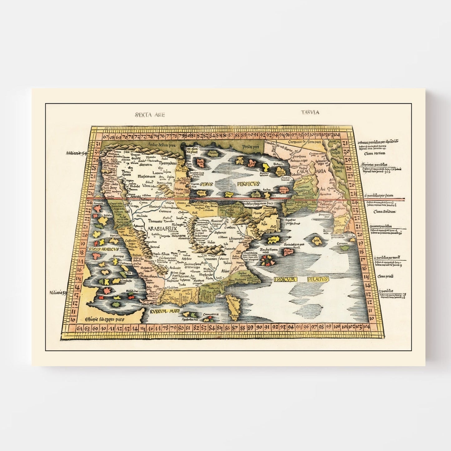 Vintage Arabia Map 1513 - Concordia Style Boutique