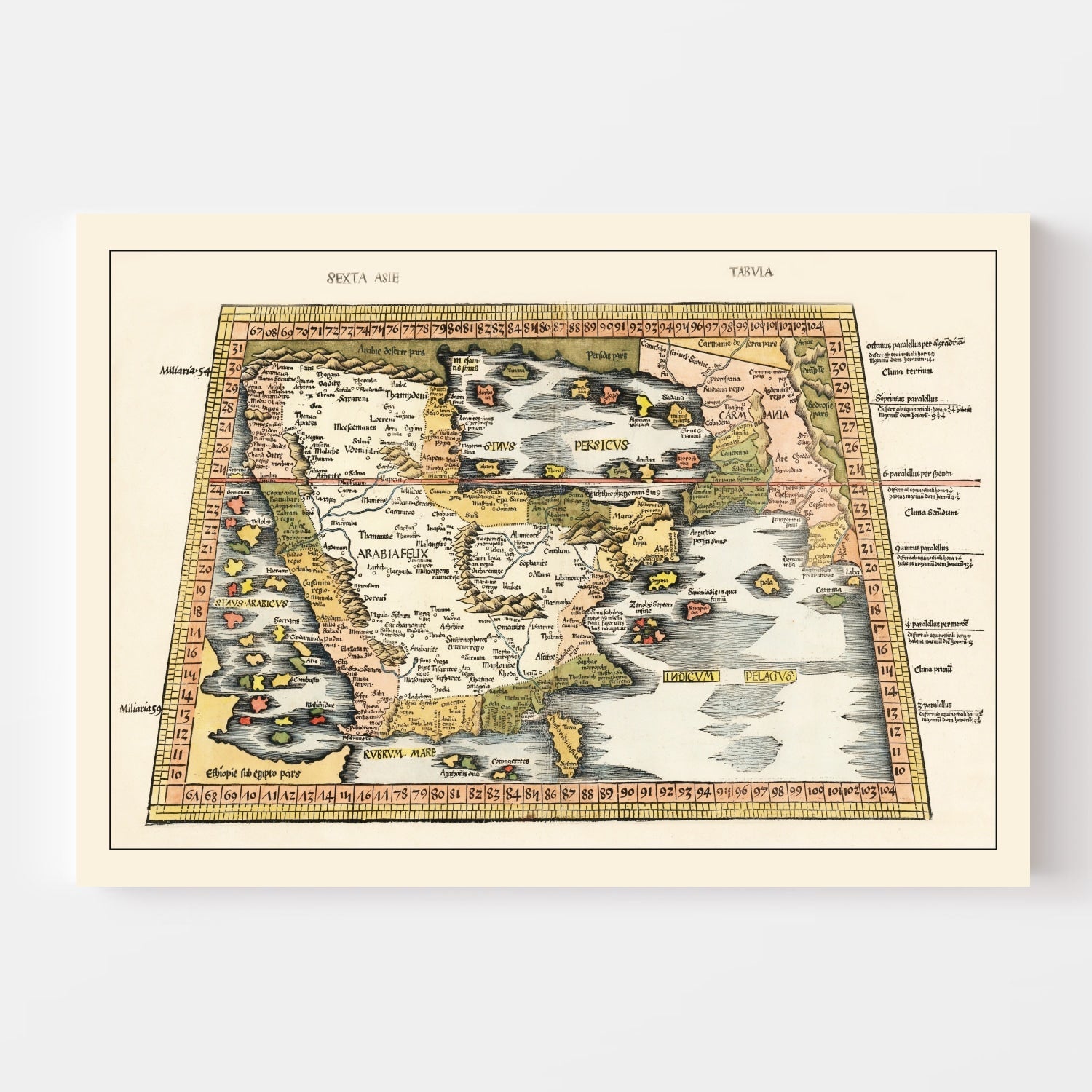 Vintage Arabia Map 1513 - Concordia Style Boutique