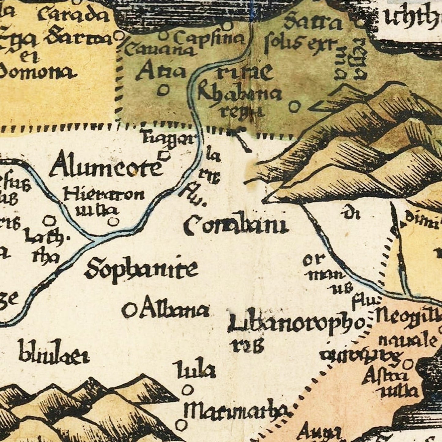 Vintage Arabia Map 1513 - Concordia Style Boutique