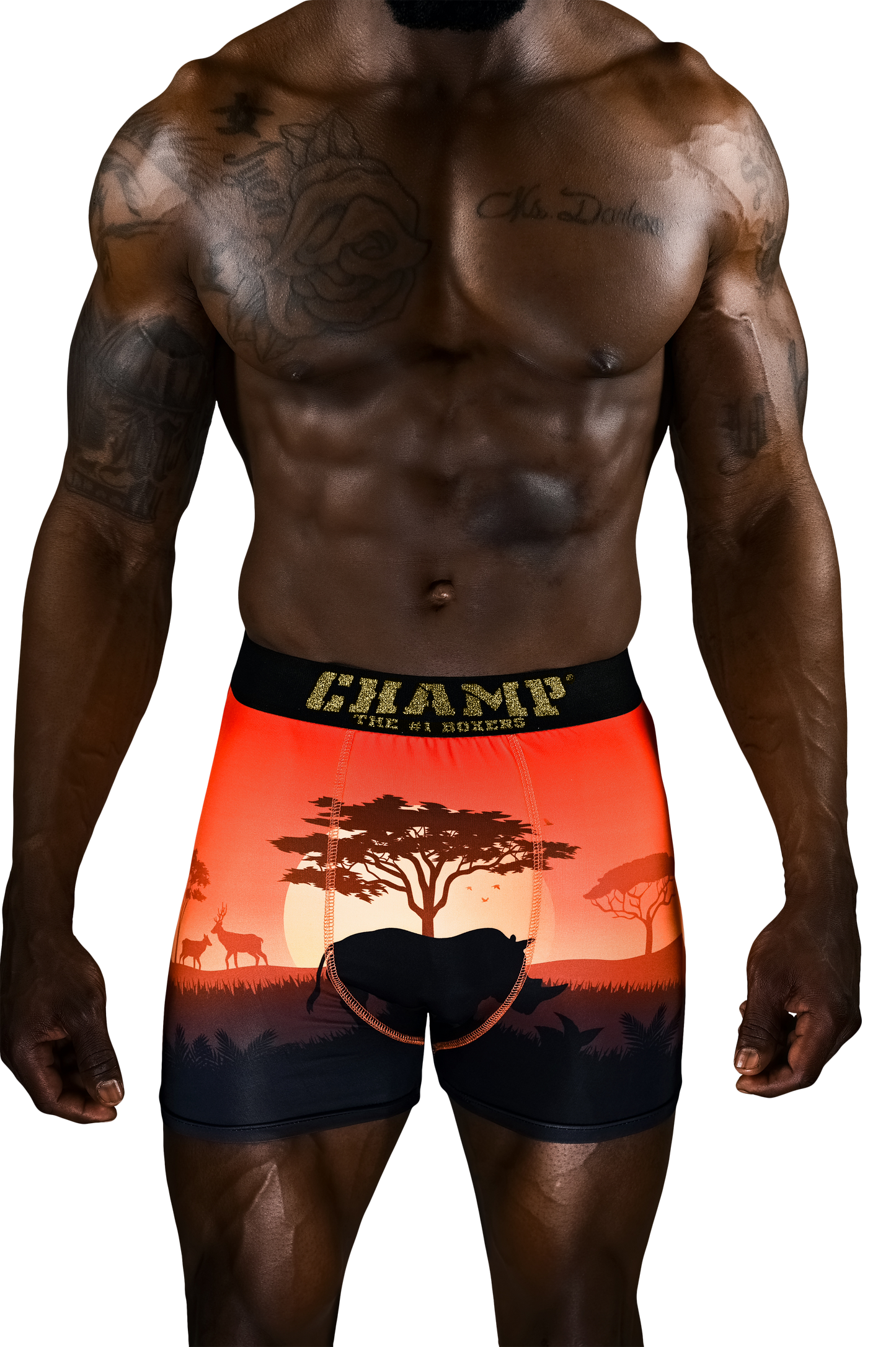 KingLion Edition (No Fly) - Concordia Style Boutique