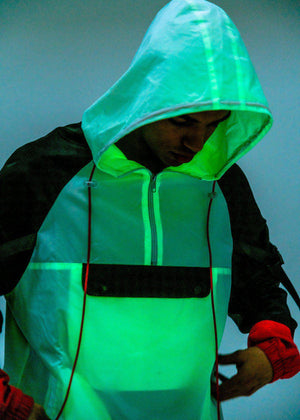 Descriptive image text